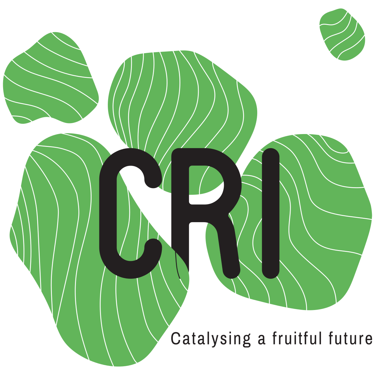 logo CRI