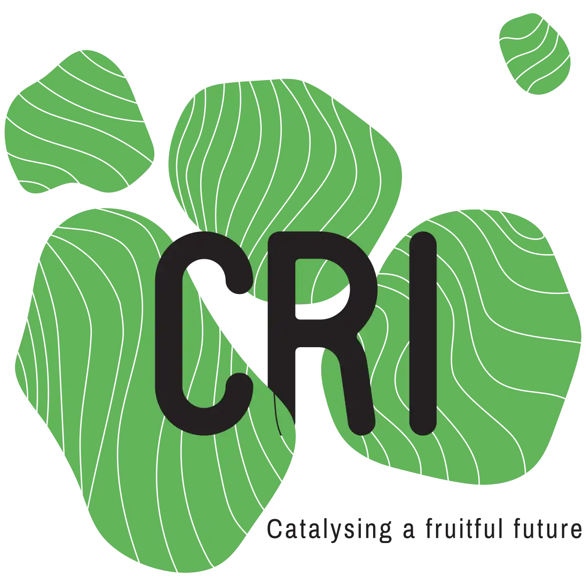 logo CRI