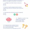 kit mindset - quiz
